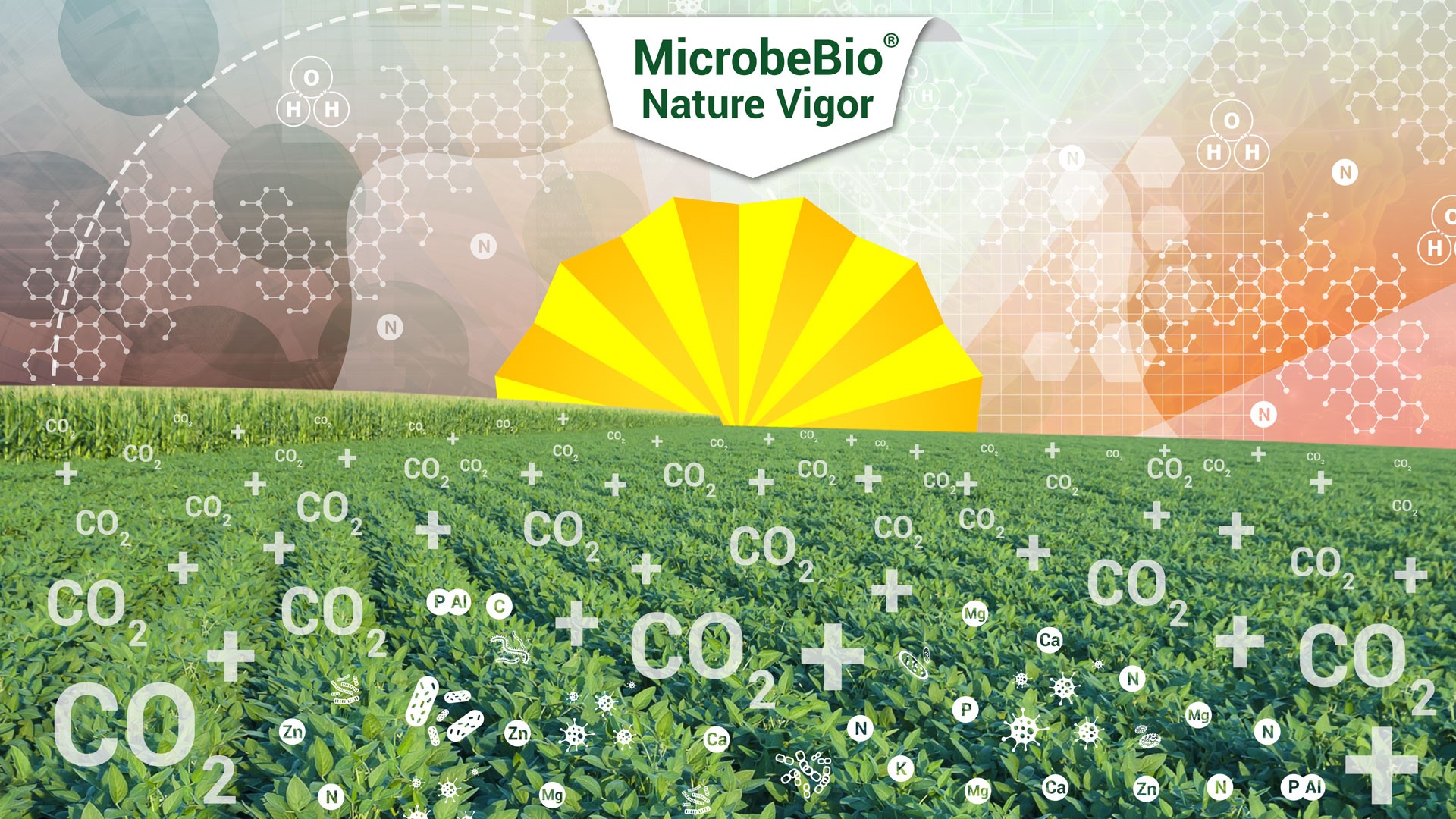 Microbebio