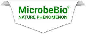 Microbebio-Nature-Phenomenon-logo-300x120 Microbebio logo