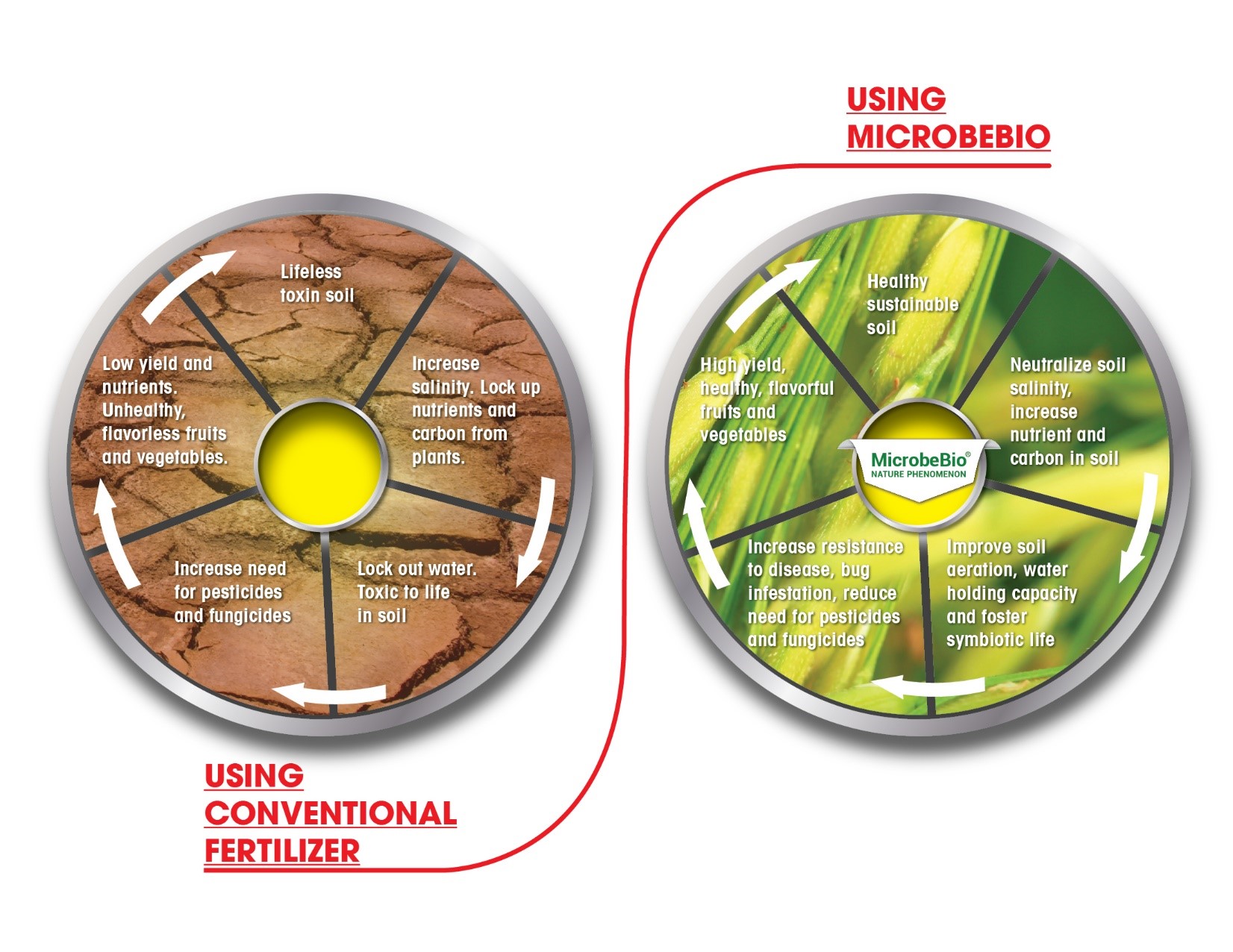 microbebio rice 4