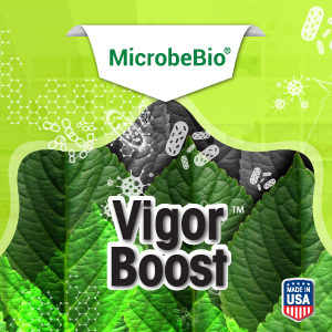 MicrobeBio® Vigor Boost™