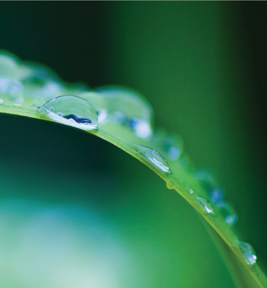 MICROBEBIO-ENERGY-LIQUID-WEB-1