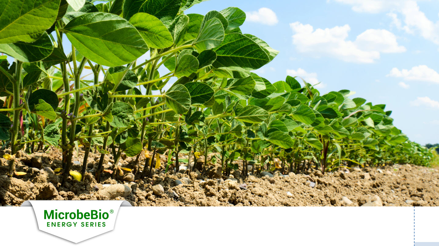 microbebio soil enhancement microbebio new generation, soil enhencement