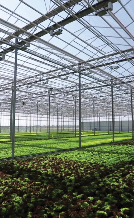 MICROBEBIO Upshot ENERGY MICROBEBIO Upshot ENERGY