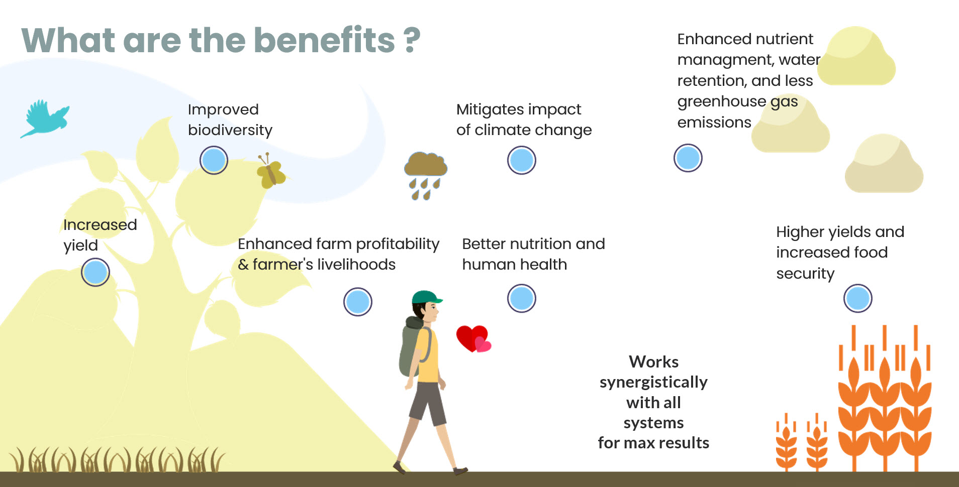 Microbebio Regenerative farming 10 Microbebio Regenerative farming 10