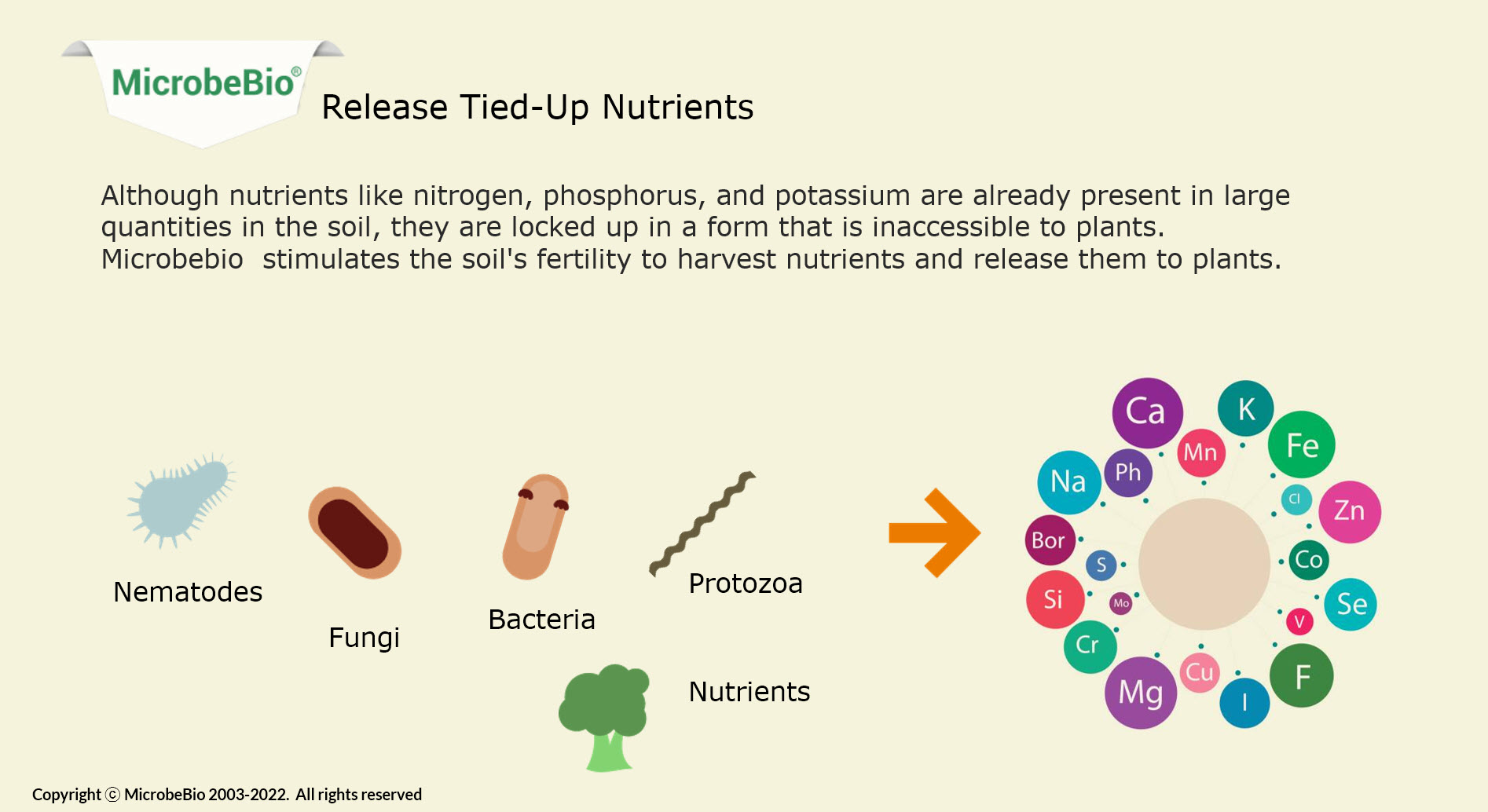 Microbebio Regenerative farming 2