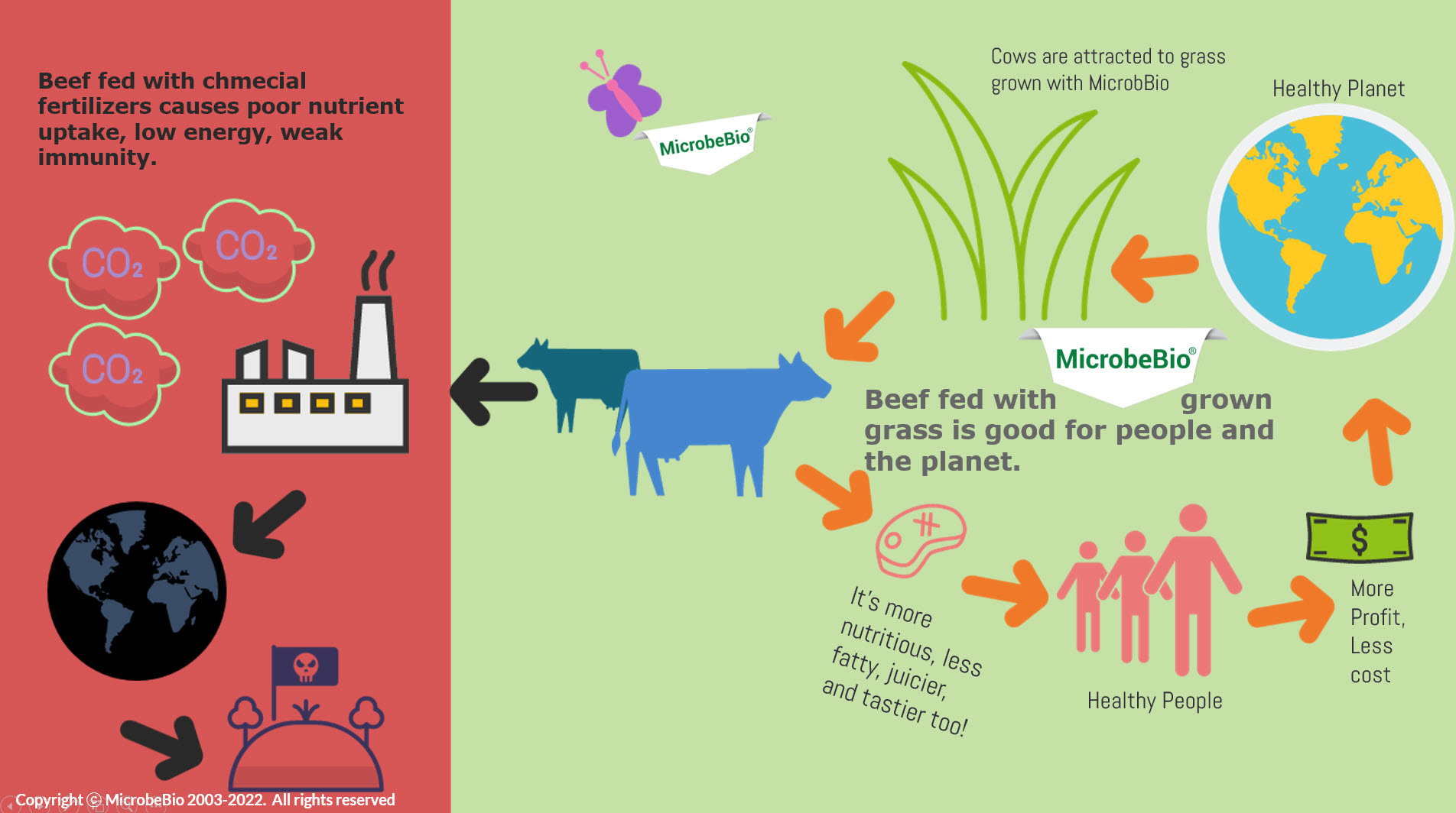 Microbebio Regenerative farming9