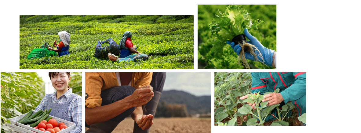 MICROBEBIO sustainable farming practices 3 MICROBEBIO sustainable farming practices
