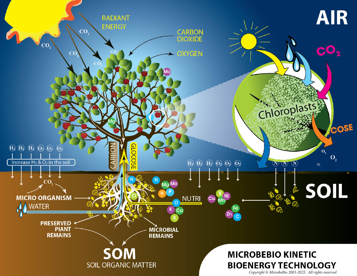 MICROBEBIO sustainable farming practices 4 MICROBEBIO sustainable farming practices