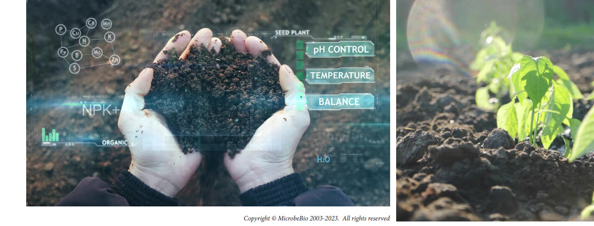 MICROBEBIO sustainable farming practices 5 MICROBEBIO sustainable farming practices 5