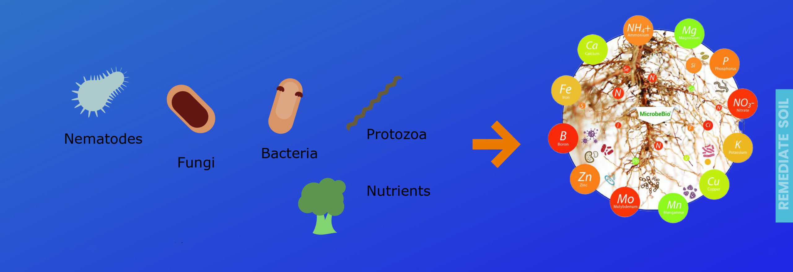 MicrobeBio Presentation MicrobeBio