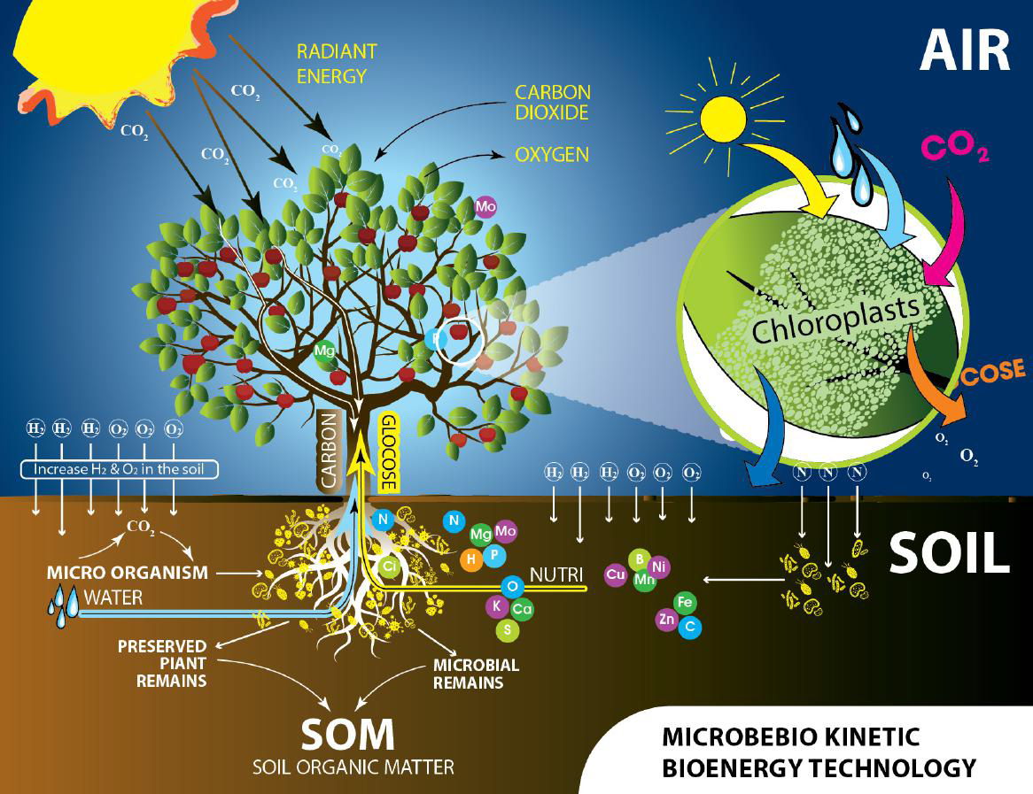 MicrobeBio-Next-Gen-Ag-Presentation-26 copy MicrobeBio-Next-Gen-Ag-Presentation-26 copy