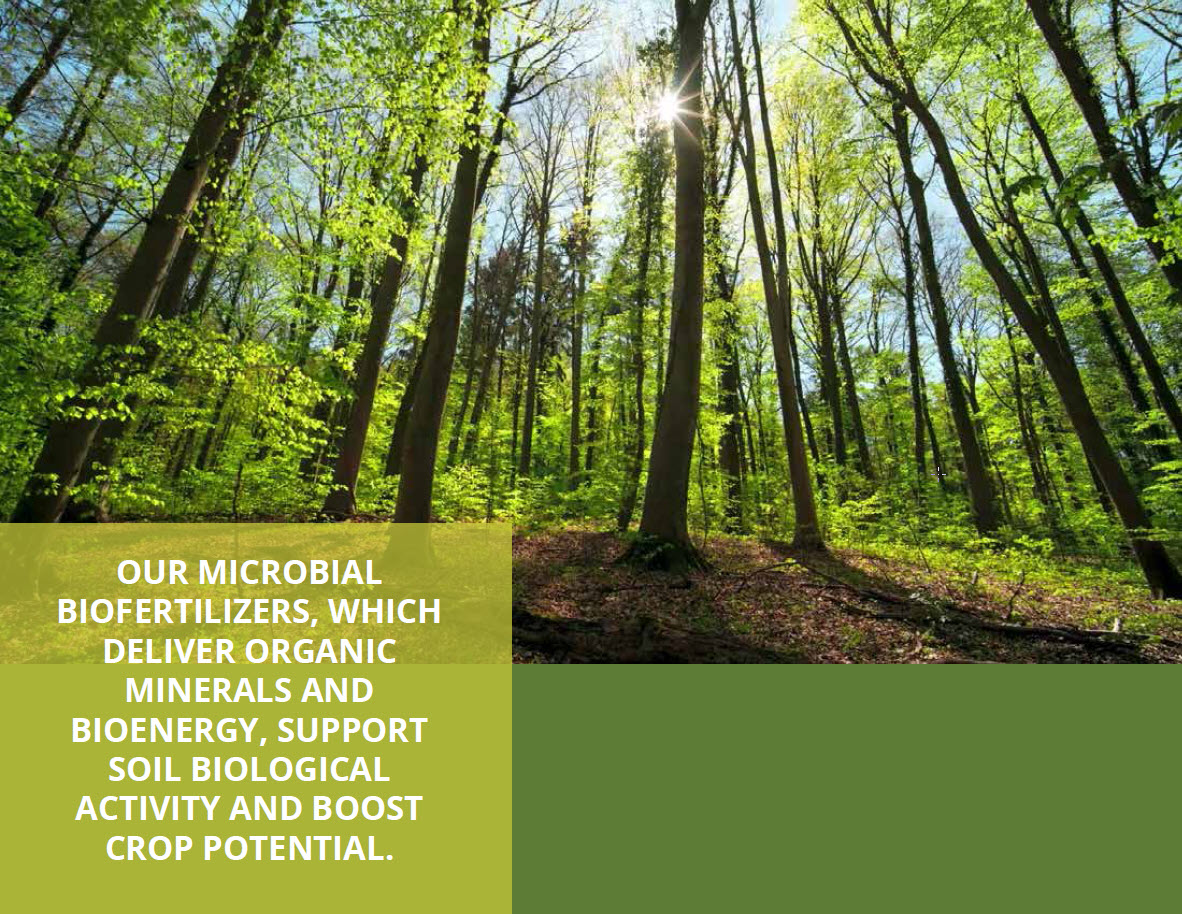 Microbebio Trace Mineral 1