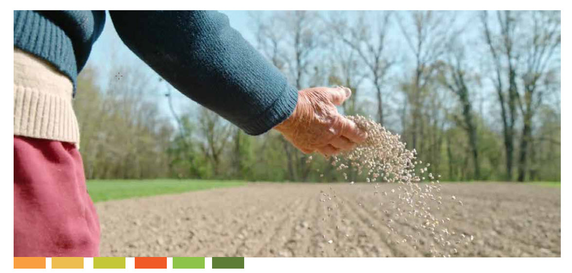 Microbebio Trace Mineral 4 Microbebio Trace Mineral 4