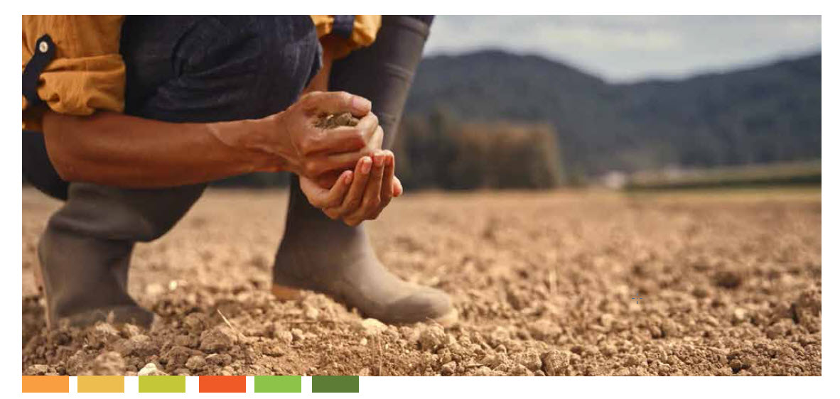 Microbebio Trace Mineral 6 Microbebio Trace Mineral 6