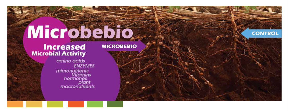 Microbebio Trace Mineral 7