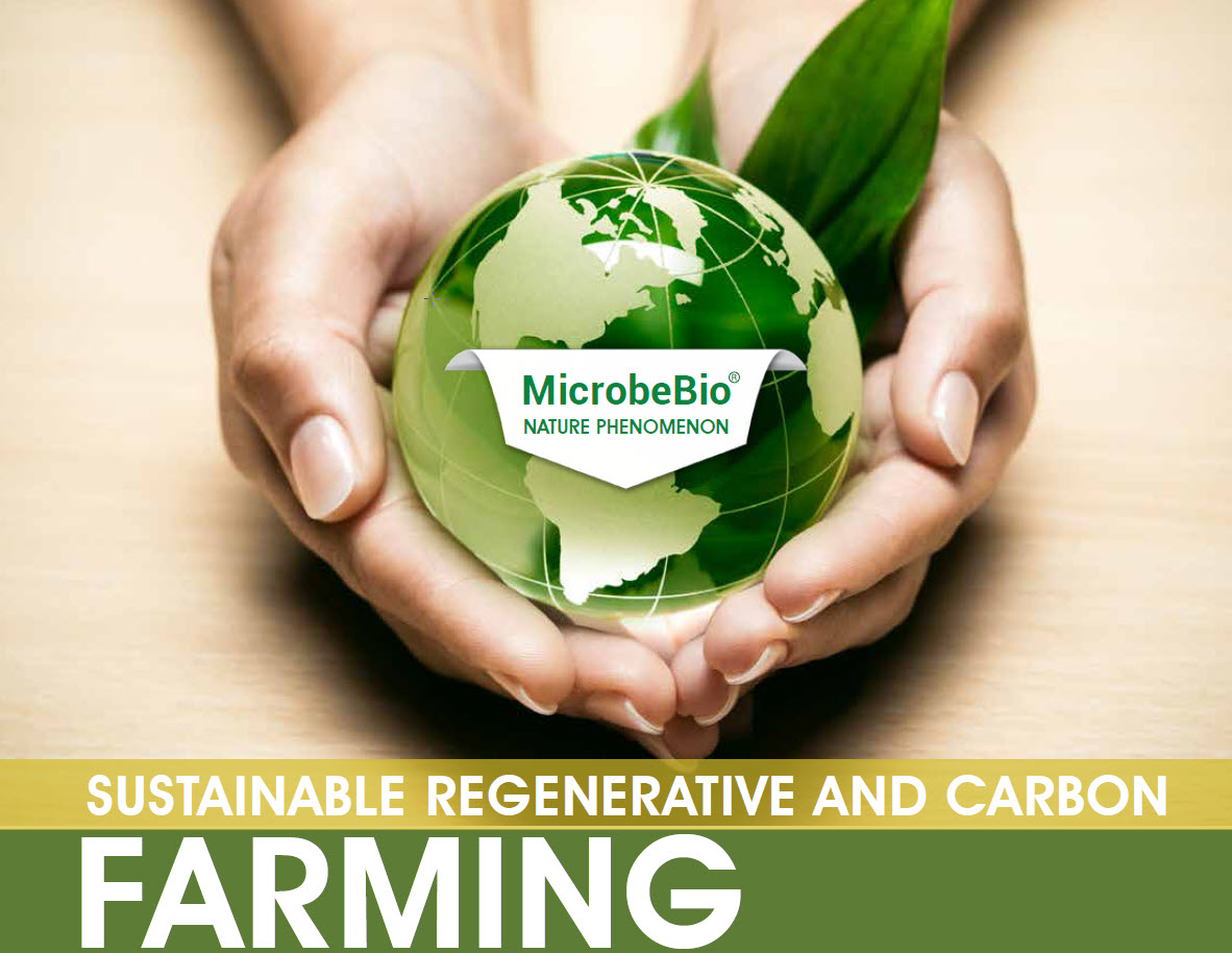 Microbebio Trace Mineral Microbebio Trace Mineral