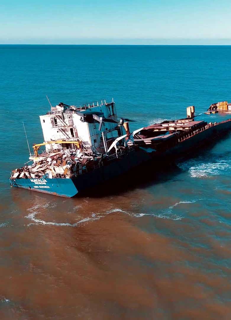 MICROBEBIO PHENOM - BROCHURE -OIL SPILL AND HEAVY METAL REMEDIATION 4