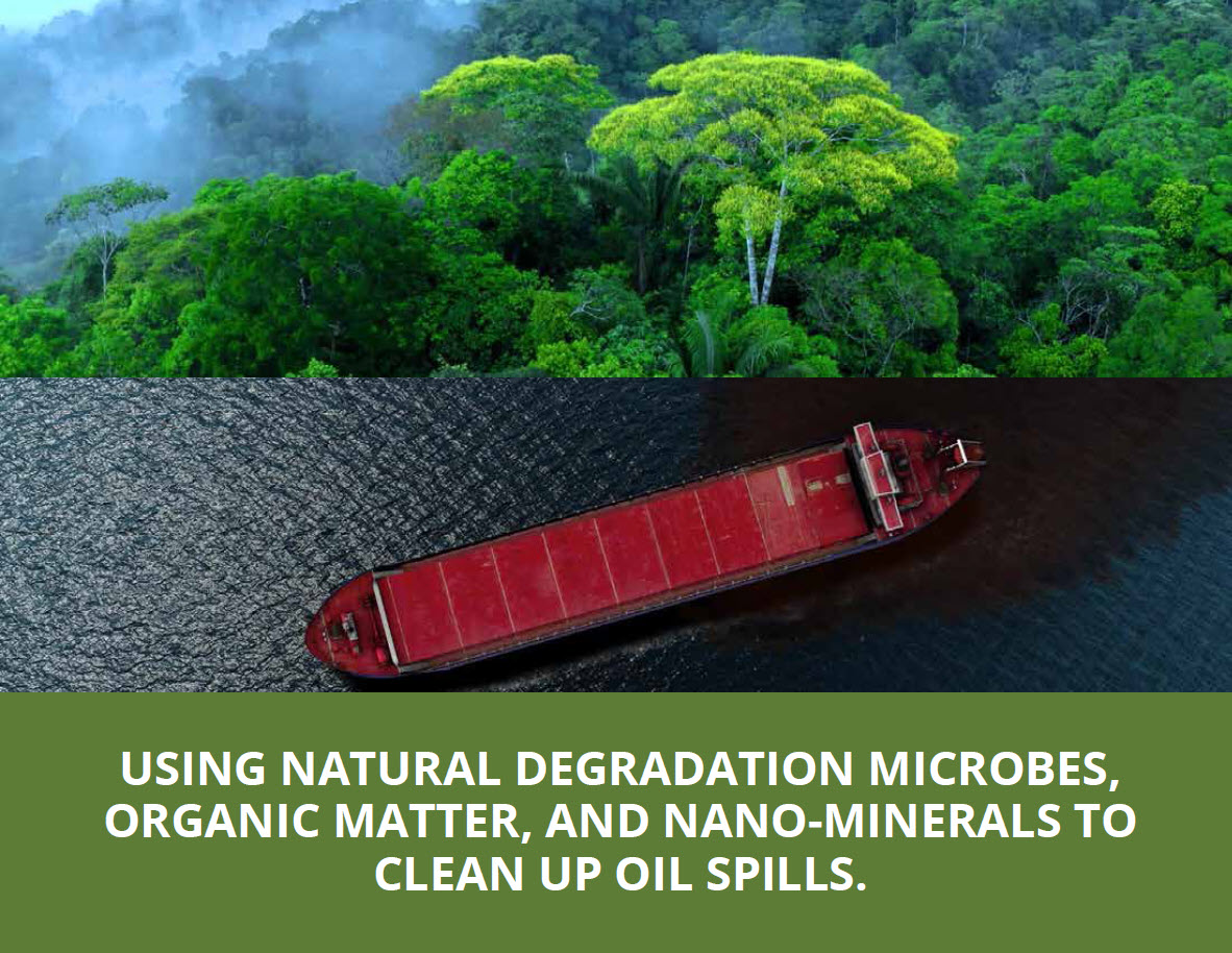 Nature Phenom Oil Spill and Heavy Metal Remediation 1