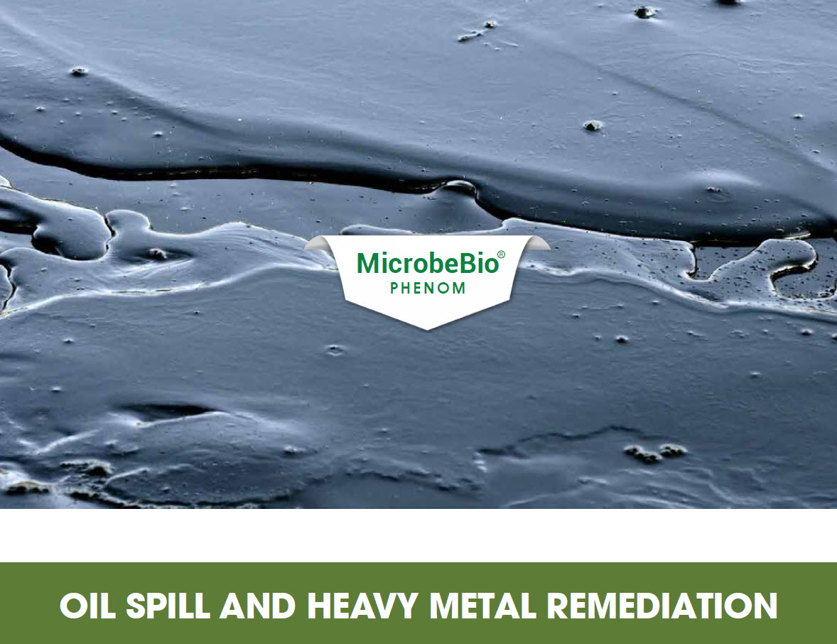 Nature Phenom Oil Spill and Heavy Metal Remediation Nature Phenom Oil Spill and Heavy Metal Remediation