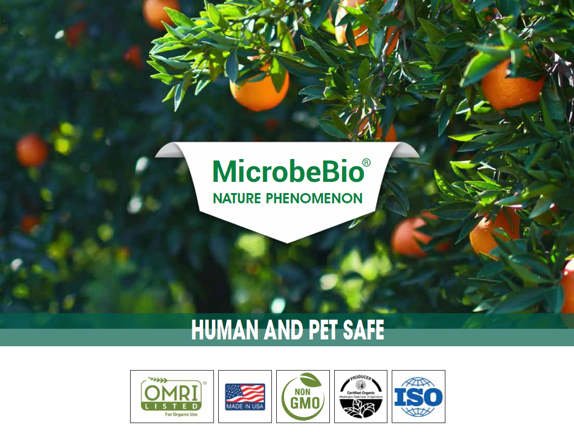 Enhancing Citrus Health with Microbebio Enhancing Citrus Health with Microbebio