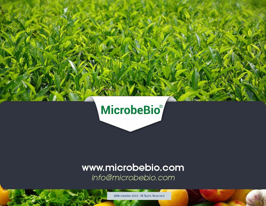 Enhancing Tea Trees with Nutrient Fixation_Page_7