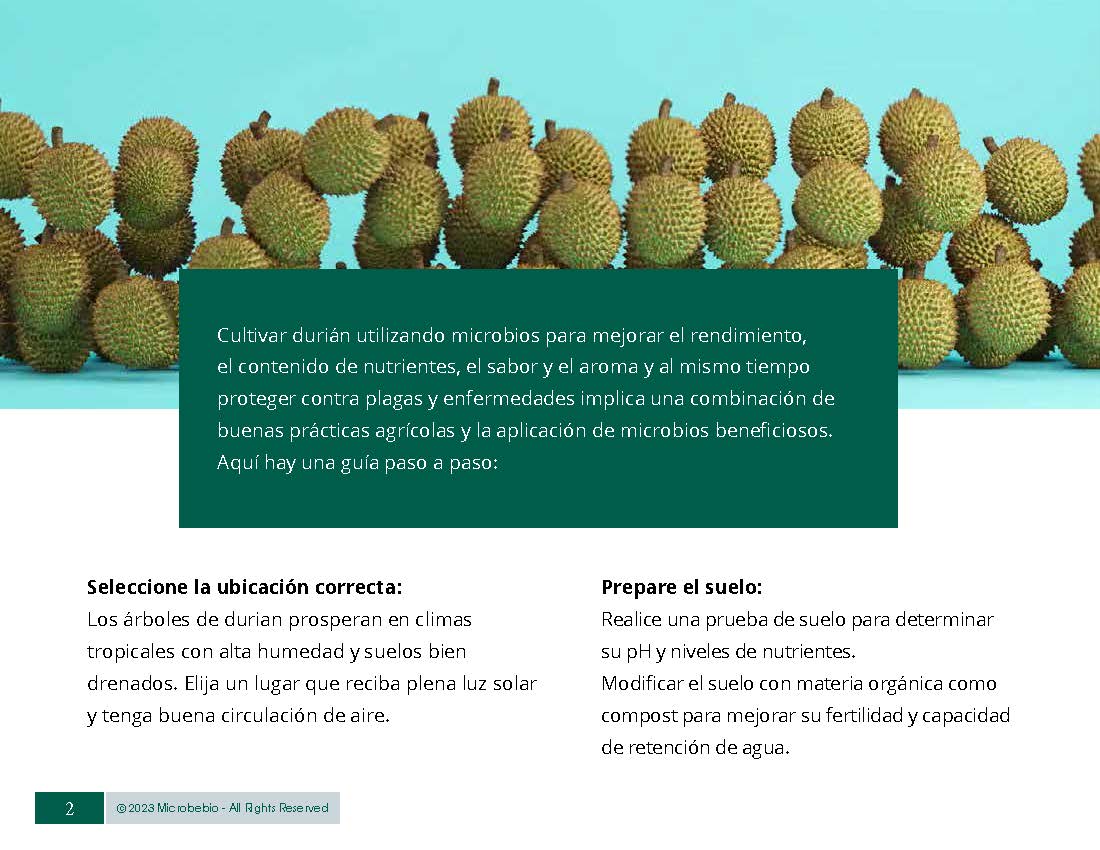 MicrobeBio NATURE PHENOMENON DURIAN_Page_2