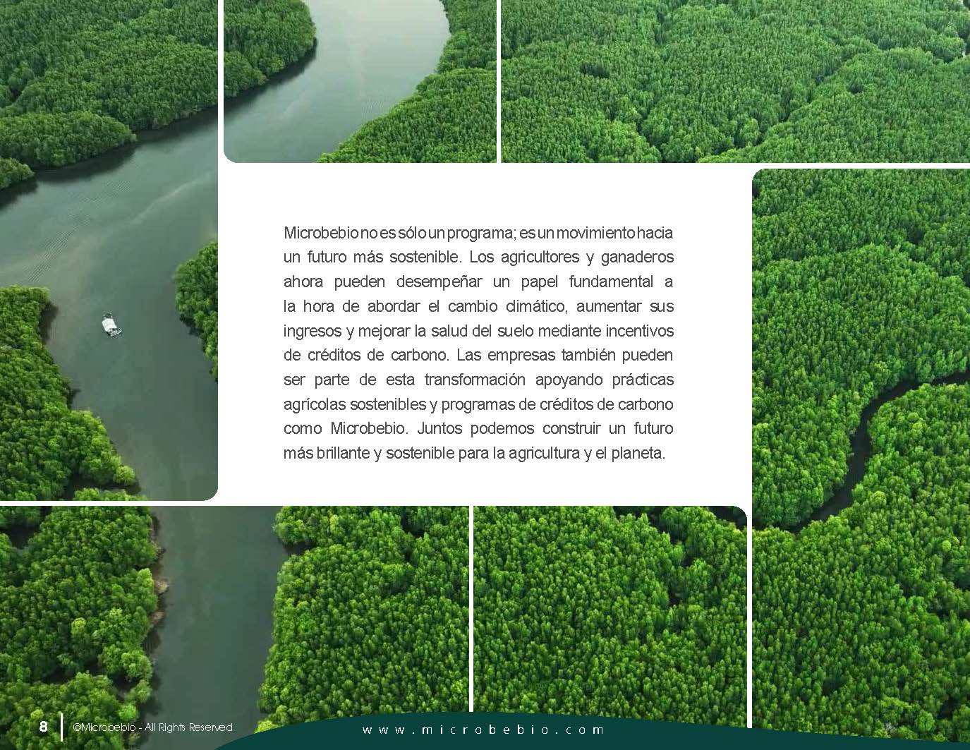 Impulsar los ingresos, la salud del suelo y la sostenibilidad_Page_08