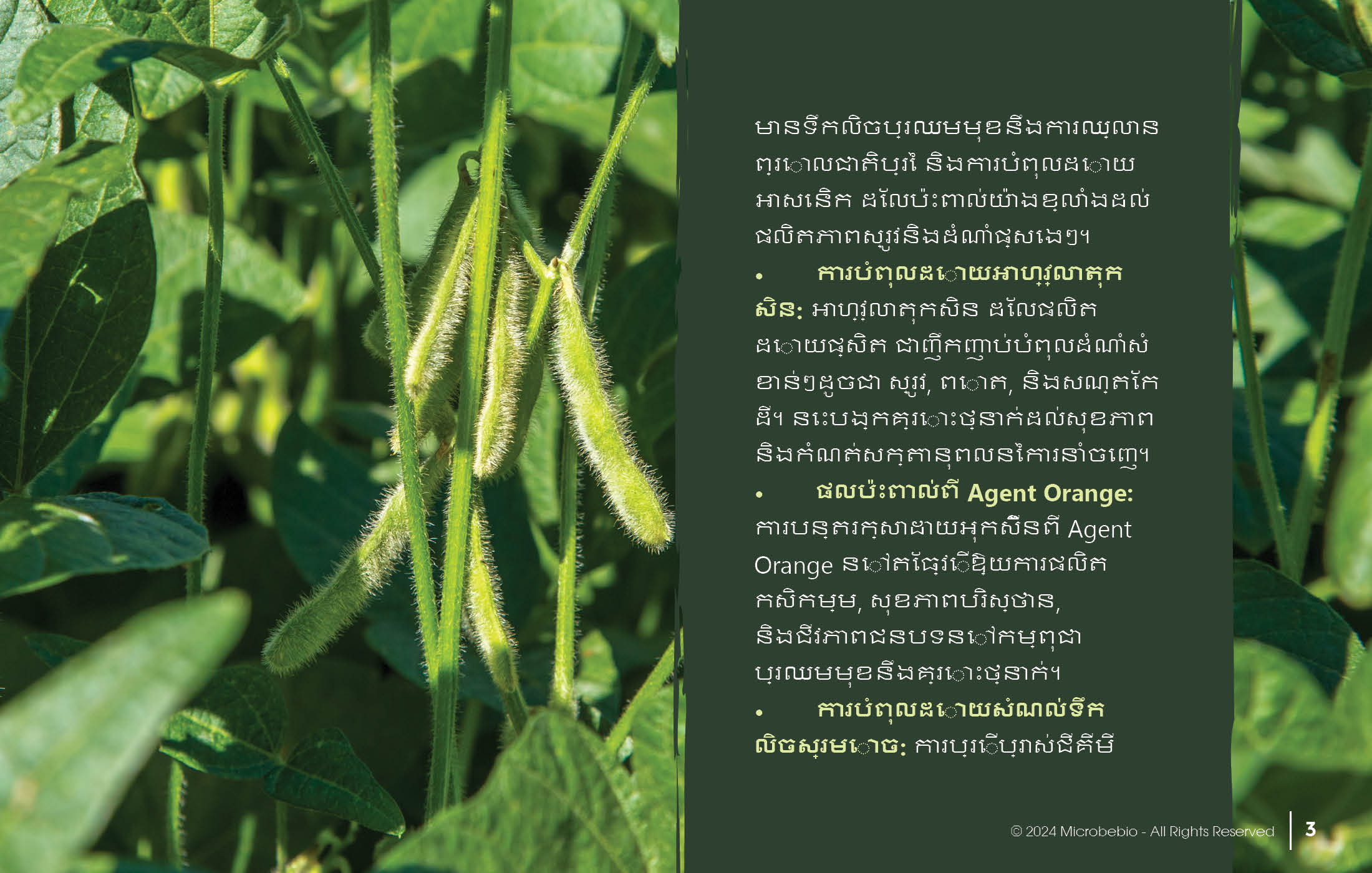 MICROBEBIO - DE XUAT SAN PHAM MICROBEBIO - CAMBODIA - 11 25 243