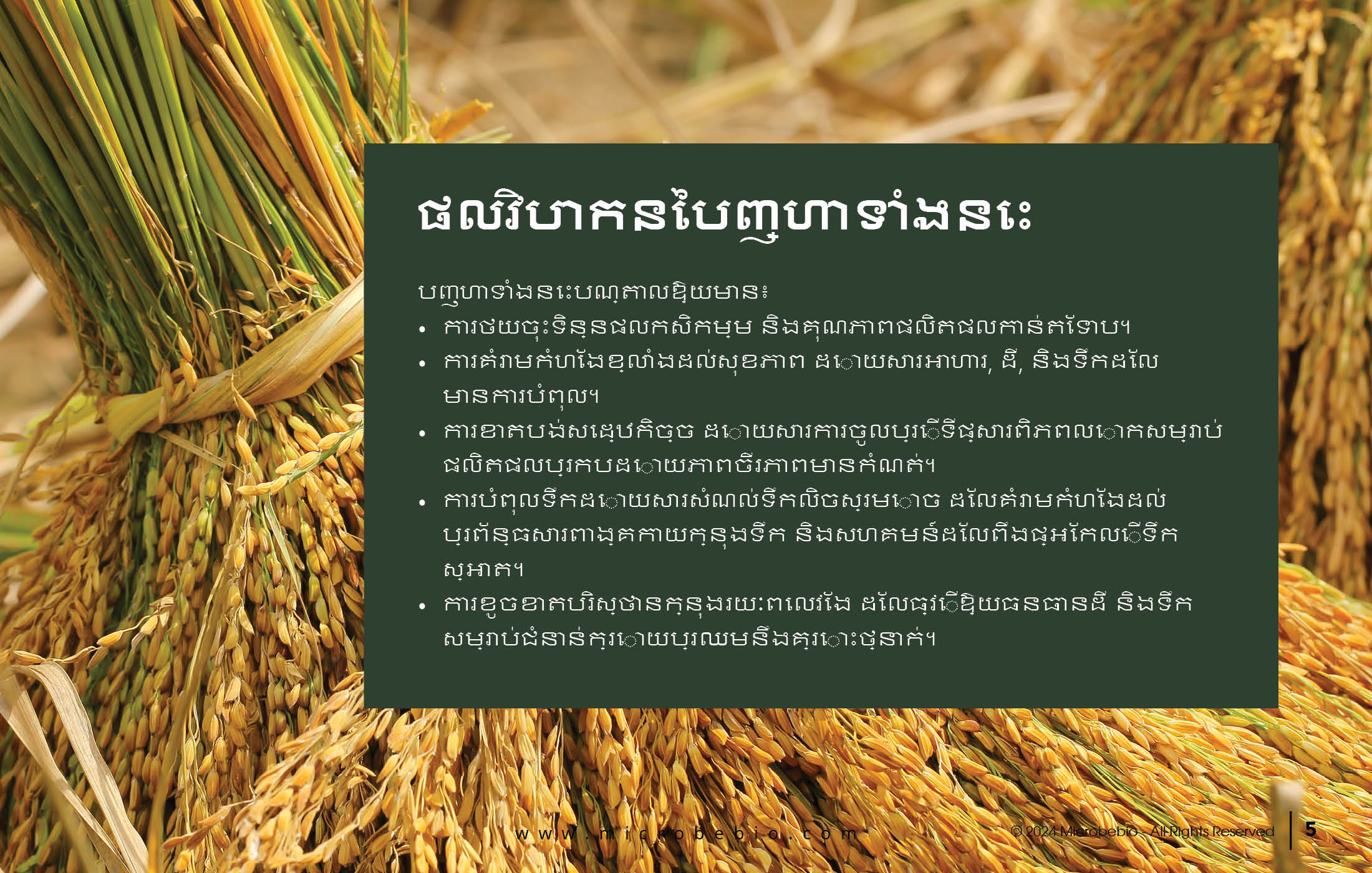 MICROBEBIO - DE XUAT SAN PHAM MICROBEBIO - CAMBODIA - 11 25 245
