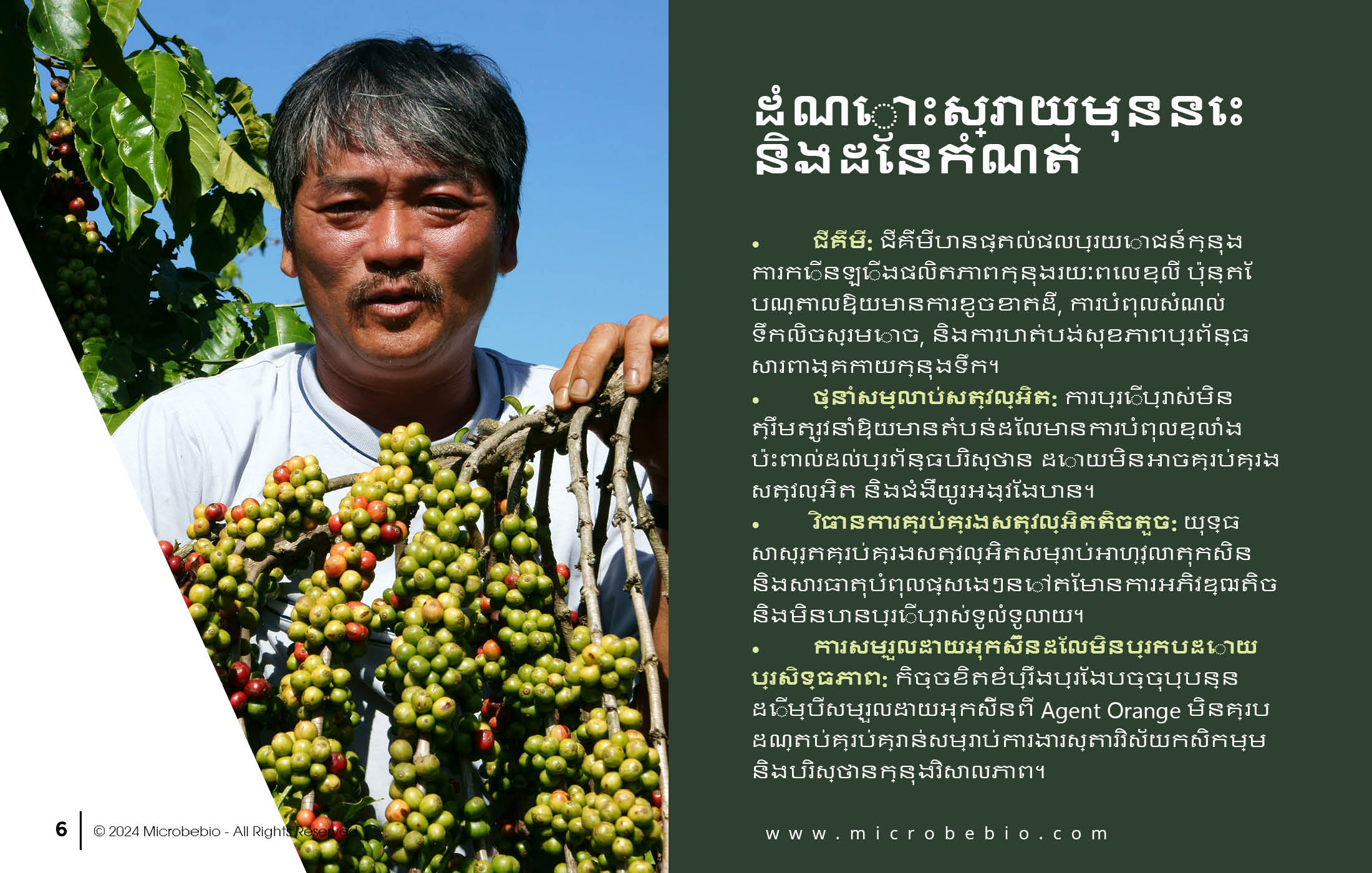MICROBEBIO - DE XUAT SAN PHAM MICROBEBIO - CAMBODIA - 11 25 246