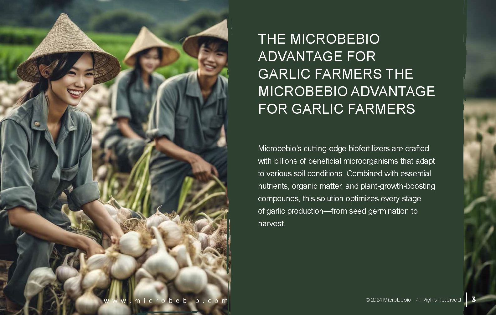Grow Healthier More Flavorful Garlic with Microbebio_Page_3