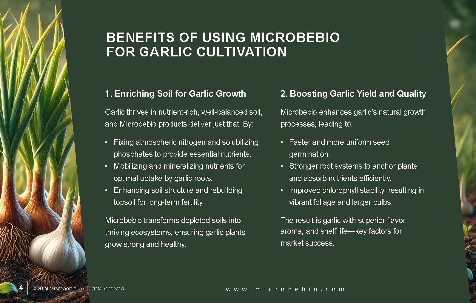 Grow Healthier More Flavorful Garlic with Microbebio_Page_4