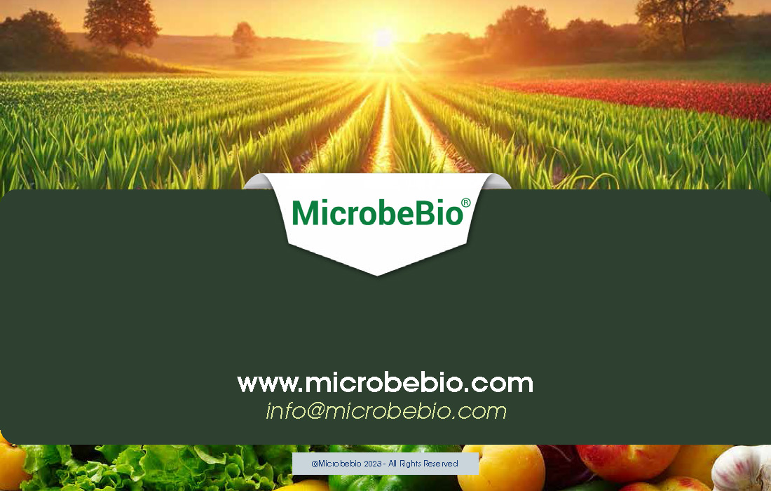 Grow Healthier More Flavorful Garlic with Microbebio_Page_9