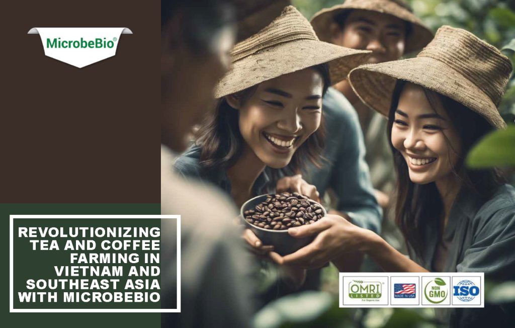 Revolutionizing Tea and Coffee Farming in Vietnam and Southeast Asia with Microbebio