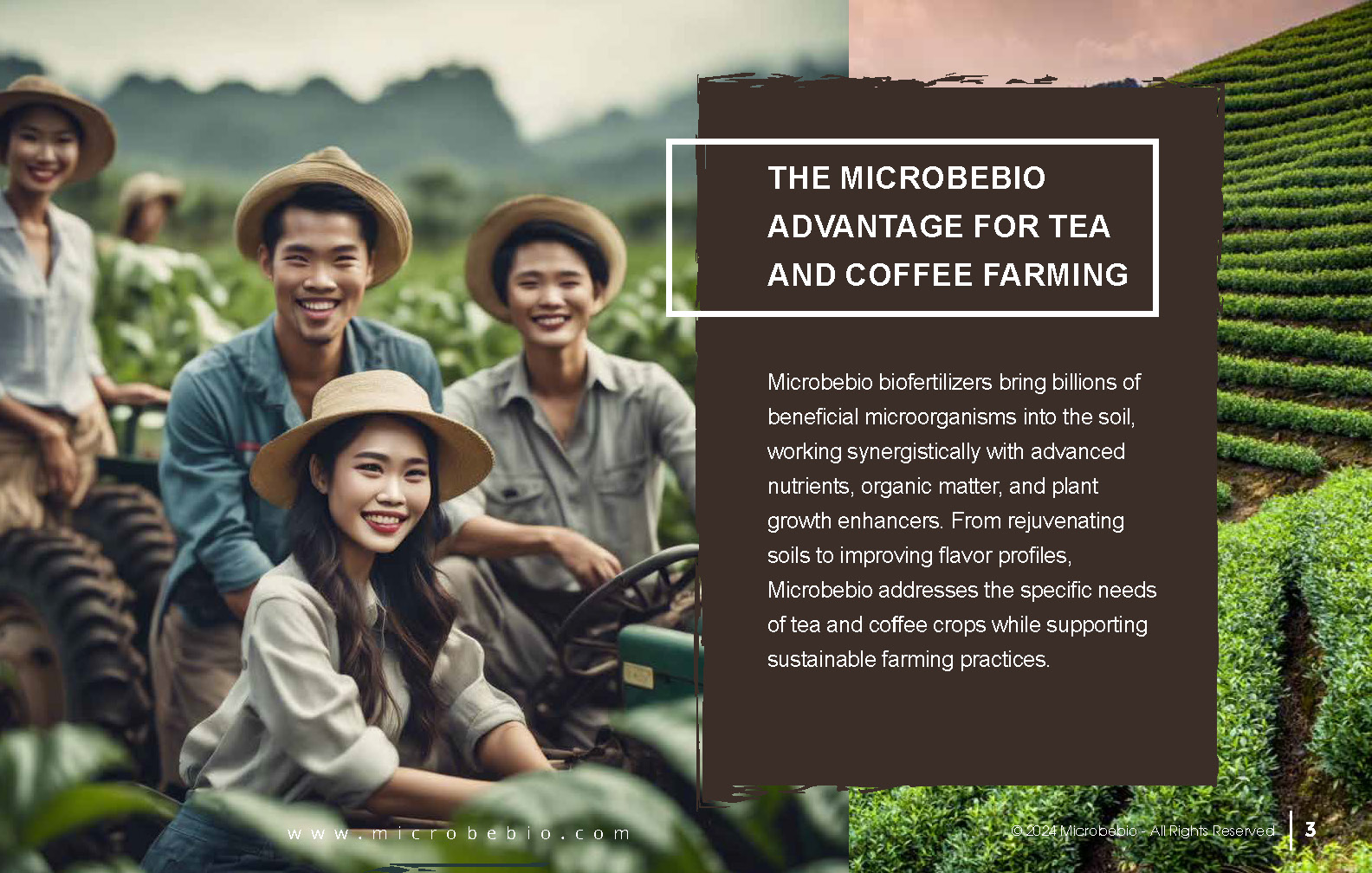 Revolutionizing Tea and Coffee Farming in Vietnam and Southeast Asia with Microbebio_Page_3