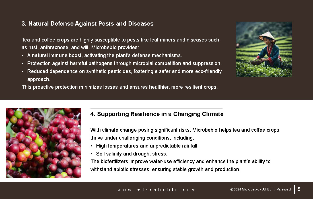 Revolutionizing Tea and Coffee Farming in Vietnam and Southeast Asia with Microbebio_Page_5
