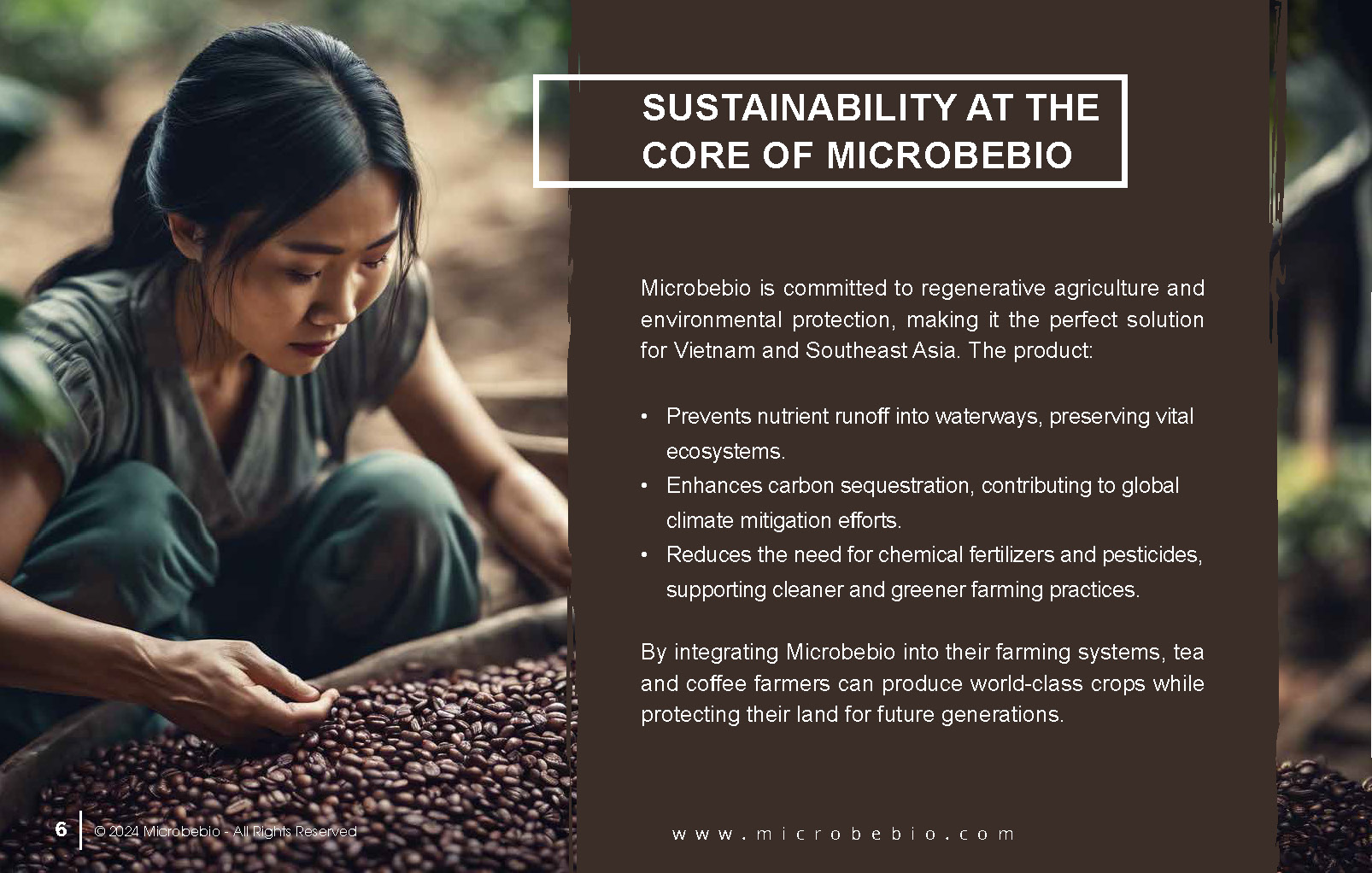 Revolutionizing Tea and Coffee Farming in Vietnam and Southeast Asia with Microbebio_Page_6