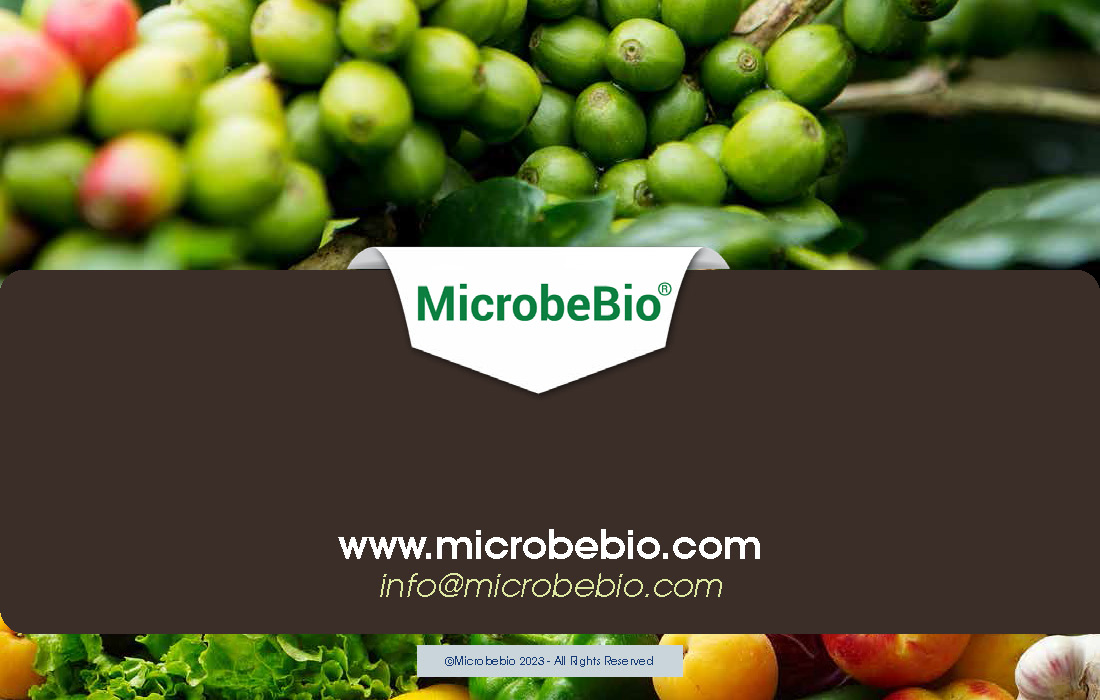 Revolutionizing Tea and Coffee Farming in Vietnam and Southeast Asia with Microbebio_Page_9