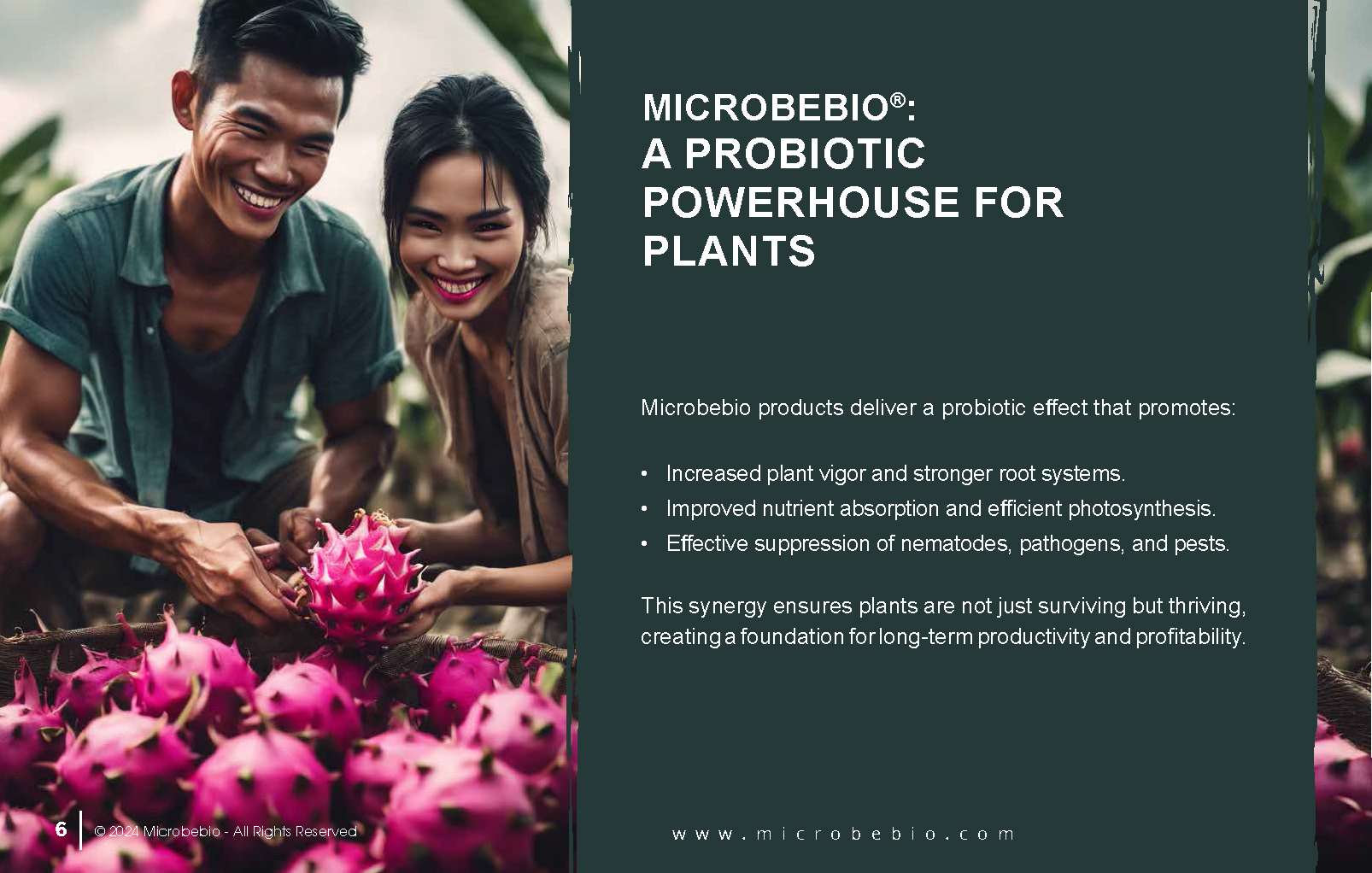 Transforming Agriculture in Vietnam and Southeast Asia with Microbebio_Page_6