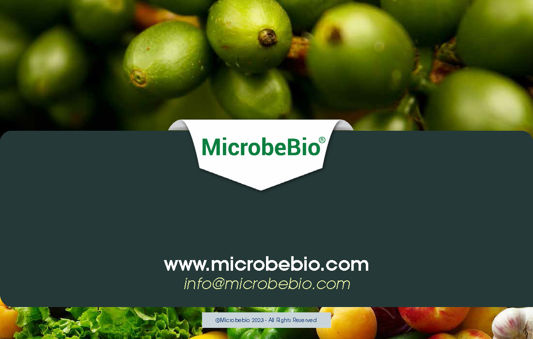Transforming Agriculture in Vietnam and Southeast Asia with Microbebio_Page_9
