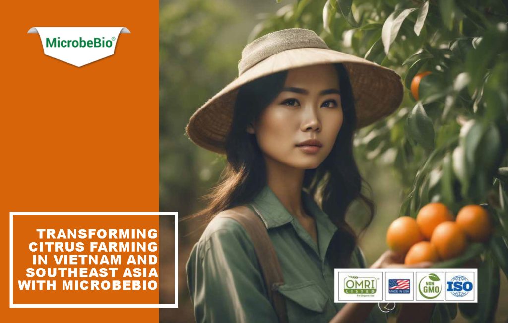 Transforming Citrus Farming in Vietnam and Southeast Asia with Microbebio: A Sustainable Solution for Healthier Harvests
