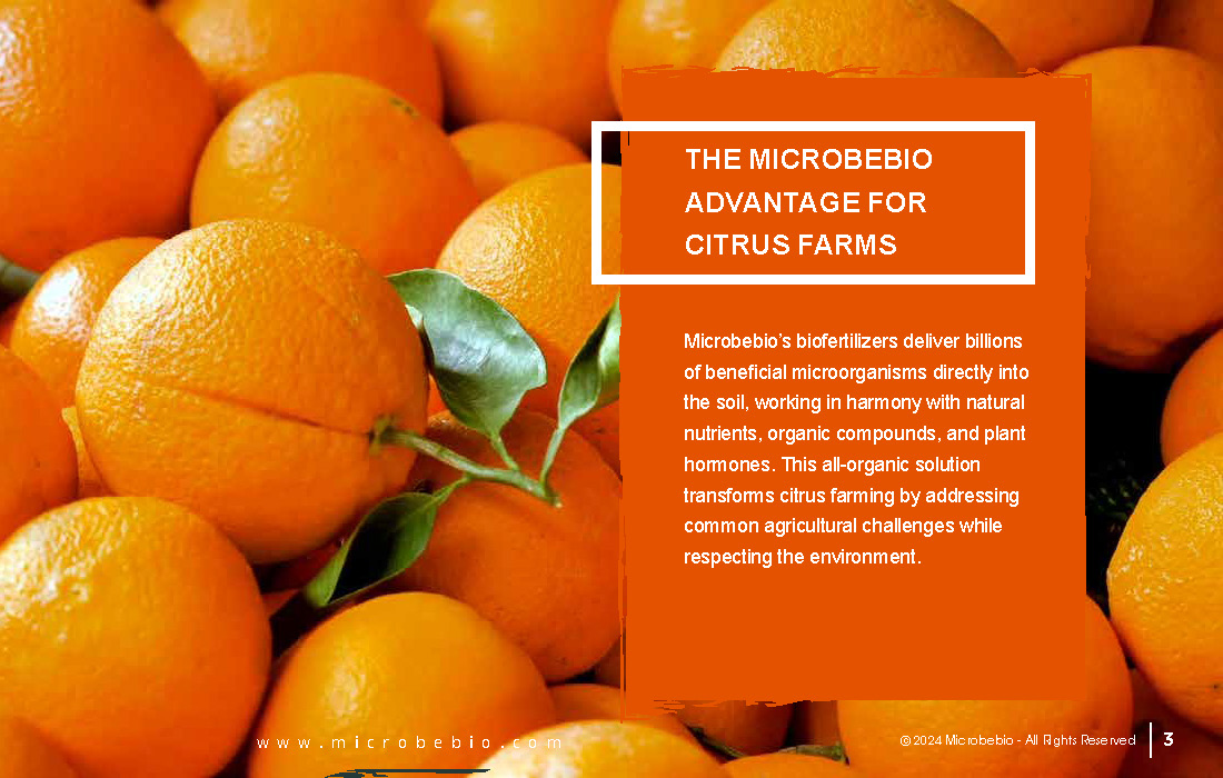 Transforming Citrus Farming in Vietnam and Southeast Asia with Microbebio_Page_3