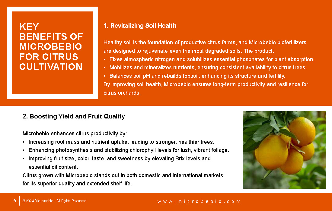 Transforming Citrus Farming in Vietnam and Southeast Asia with Microbebio_Page_4