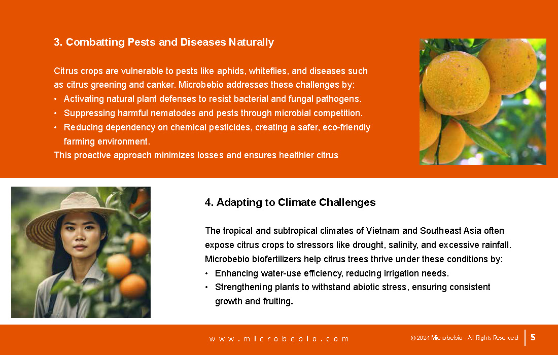 Transforming Citrus Farming in Vietnam and Southeast Asia with Microbebio_Page_5