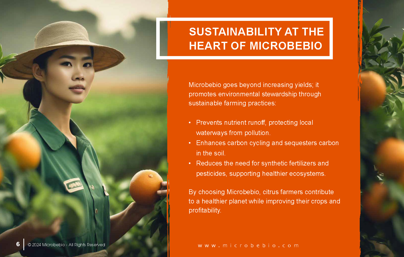 Transforming Citrus Farming in Vietnam and Southeast Asia with Microbebio_Page_6