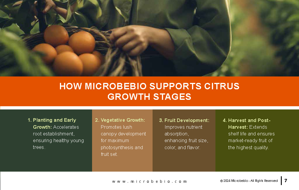Transforming Citrus Farming in Vietnam and Southeast Asia with Microbebio_Page_7