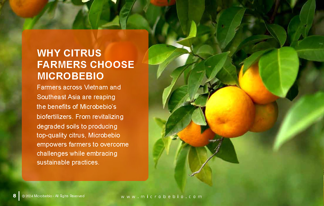 Transforming Citrus Farming in Vietnam and Southeast Asia with Microbebio_Page_8